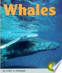 Whales cover