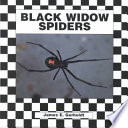 Black Widow Spiders cover