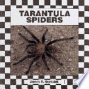Tarantula Spiders cover