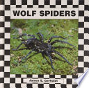 Wolf Spiders cover
