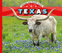 Texas cover
