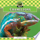 Chameleons cover