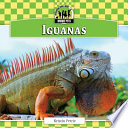 Iguanas cover