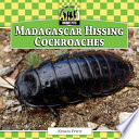Madagascar Hissing Cockroaches cover
