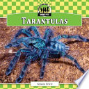 Tarantulas cover