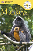 Monkeys cover