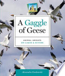 A Gaggle of Geese: Animal Groups on Lakes & Rivers cover