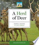 A Herd of Deer: Animal Groups in the Forest cover