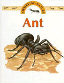 Ant cover