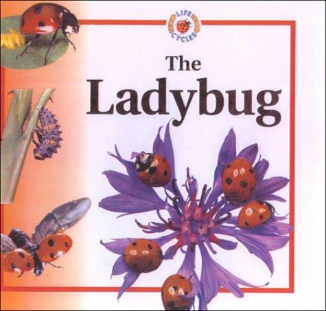 The Ladybug cover