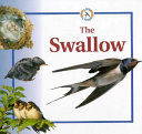 The Swallow cover