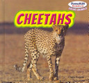 Cheetahs cover