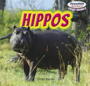 Hippos cover