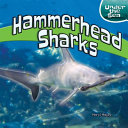 Hammerhead Sharks cover