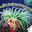 Sea Anemones cover
