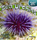 Sea Urchins cover
