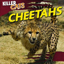 Cheetahs cover