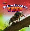 The Bizarre Life Cycle of a Cicada cover
