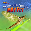 The Bizarre Life Cycle of a Mayfly cover