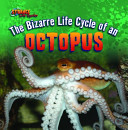 The Bizarre Life Cycle of an Octopus cover