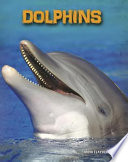 Dolphins cover