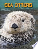 Sea Otters cover