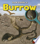 Look Inside a Burrow cover