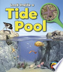 Look Inside a Tide Pool cover