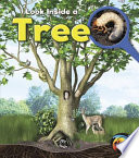 Look Inside a Tree cover