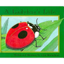 A Ladybug's Life cover