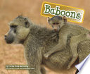 Baboons cover