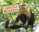 Capuchin Monkeys cover
