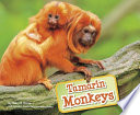 Tamarin Monkeys cover