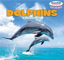 Dolphins cover