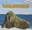 Walruses cover