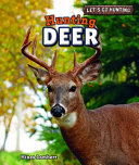Hunting Deer cover