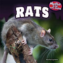 Rats cover