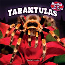 Tarantulas cover