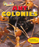 Ant Colonies cover