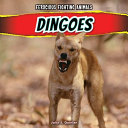 Dingoes cover