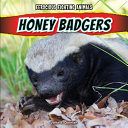 Honey Badgers cover