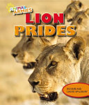 Lion Prides cover