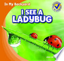 I See a Ladybug cover