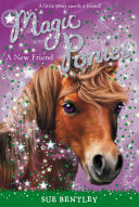 A New Friend cover