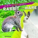 Tell Me the Difference Between a Rabbit and a Hare cover