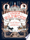 Under Wildwood