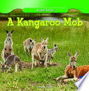 A Kangaroo Mob cover