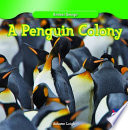 A Penguin Colony cover