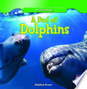 A Pod of Dolphins cover
