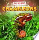 Chameleons cover